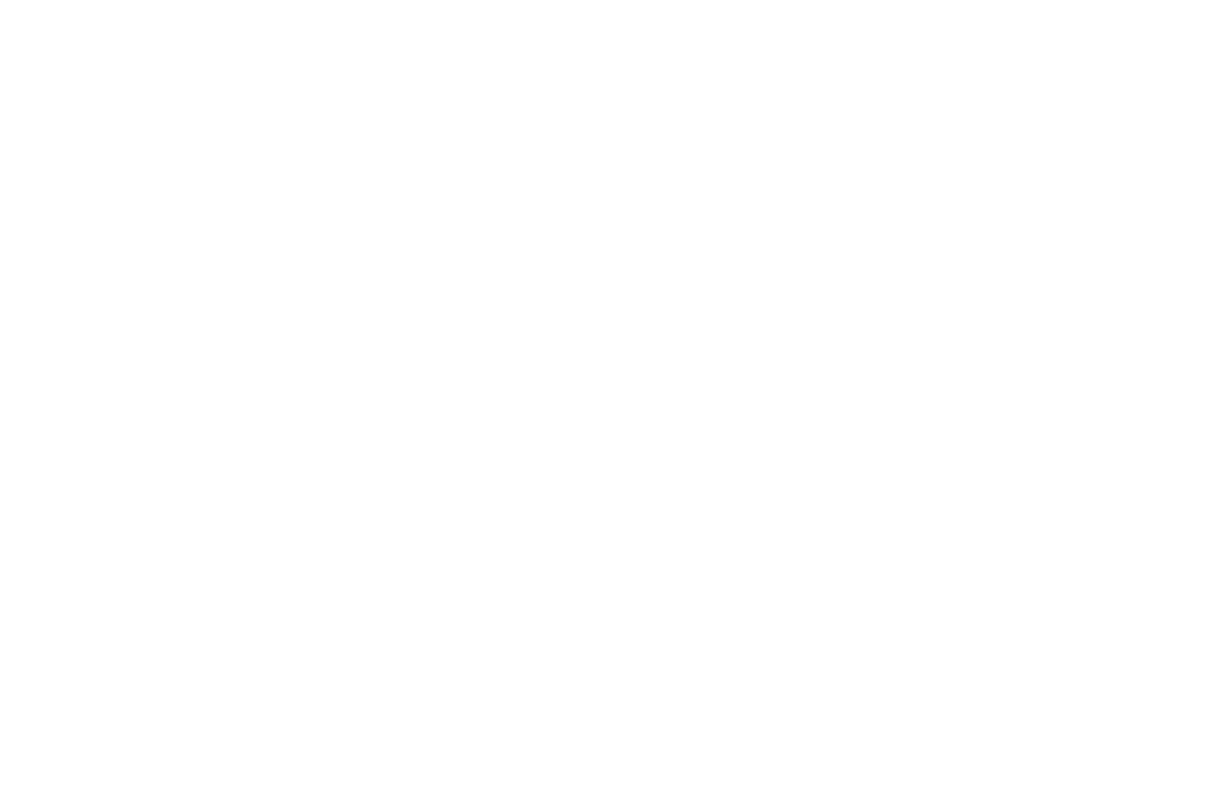 Chicago Cinema