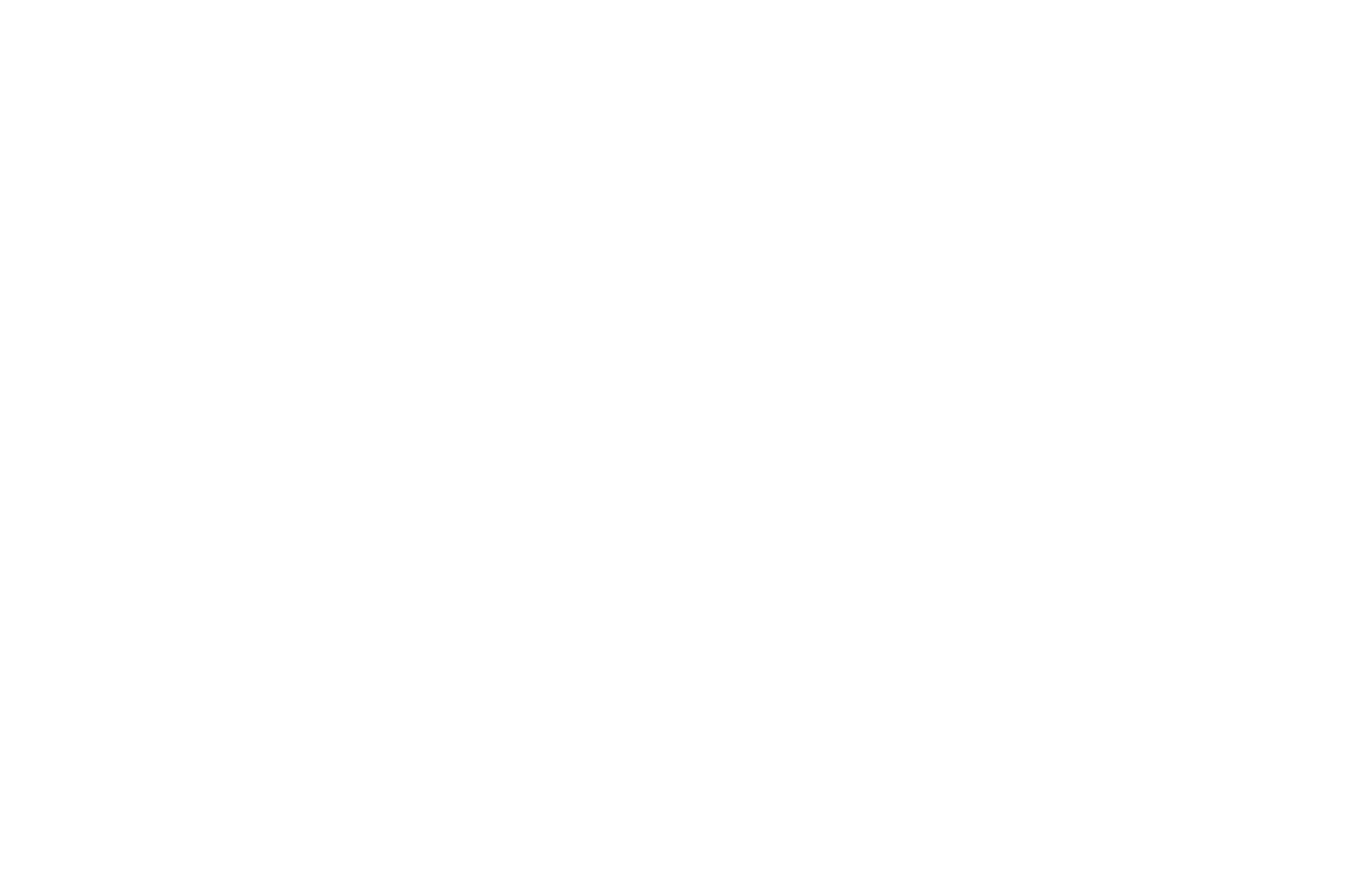 Feel The Reel