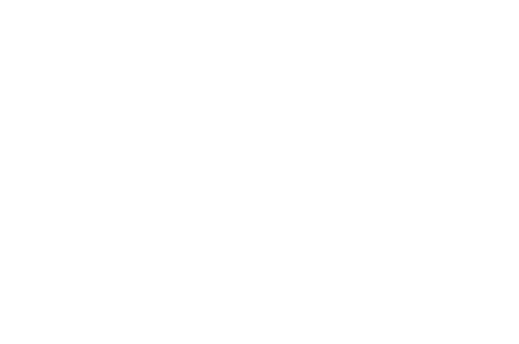 Berlin Indie Shorts