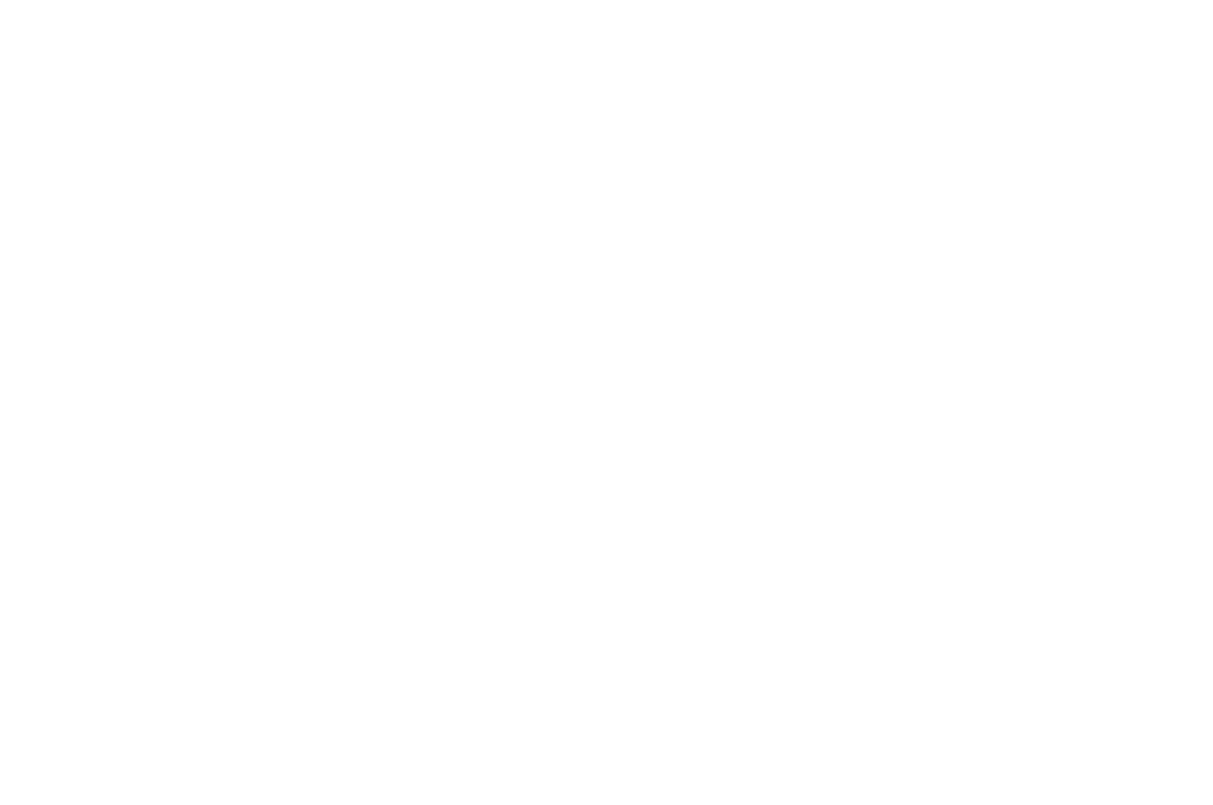 Next Step Cannes