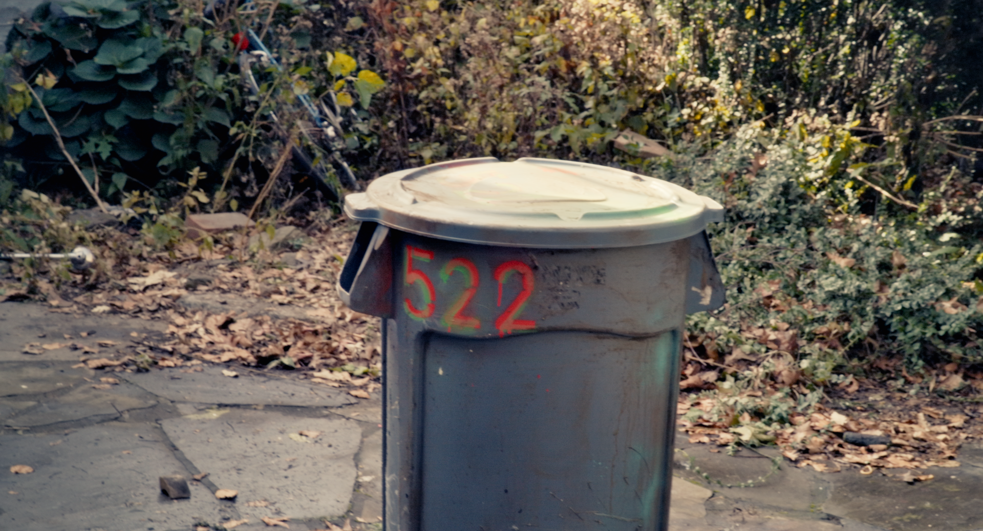 The demon trash can